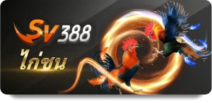 cock-fighting by ufawinner99